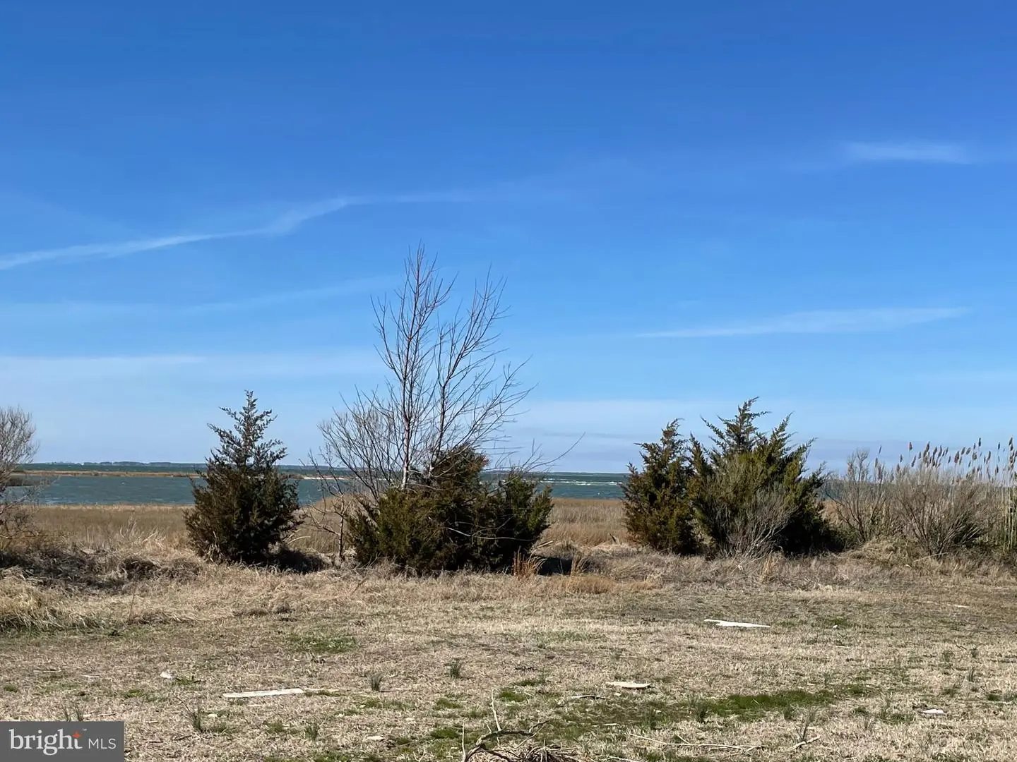 MDSO2003026-802222279198-2023-03-21-14-41-13 25722 Drum Point Rd | Westover, MD Real Estate For Sale | MLS# Mdso2003026  - Ocean Atlantic